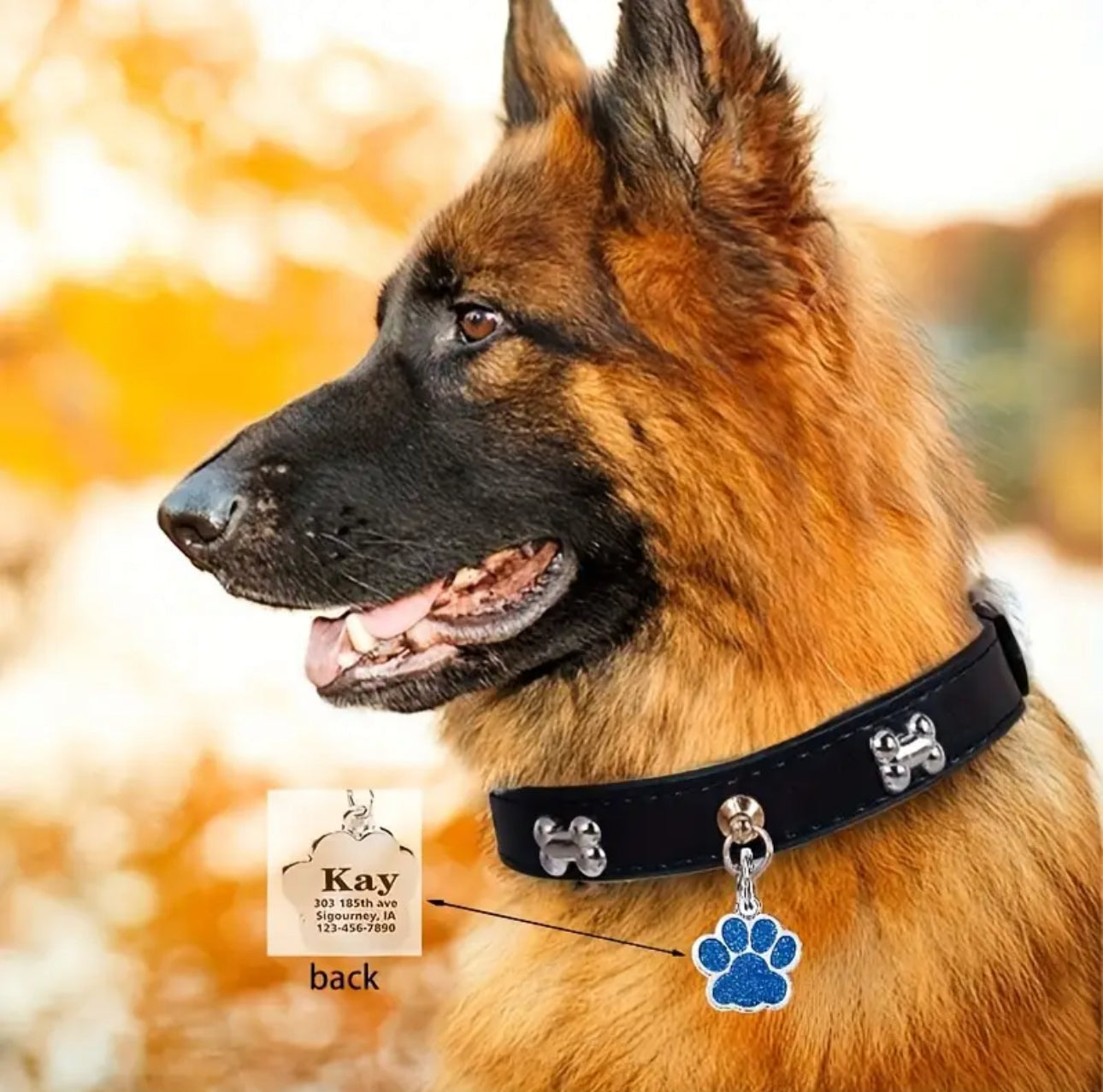 TYN Custom Lab Personalized Paw Pet ID Tag